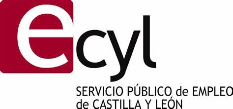 Logo Sepe Castilla y Leon